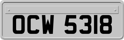 OCW5318