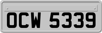 OCW5339