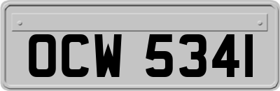 OCW5341