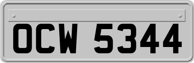 OCW5344