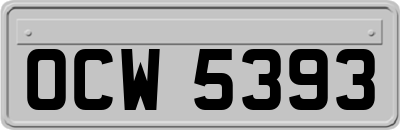 OCW5393