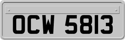 OCW5813