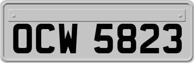 OCW5823