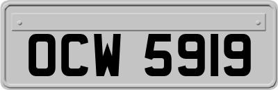 OCW5919