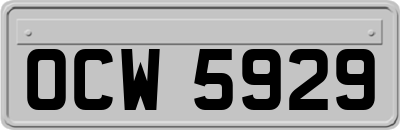 OCW5929