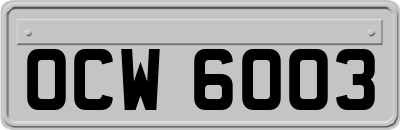 OCW6003