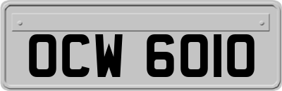 OCW6010