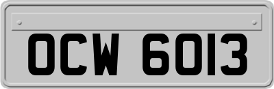 OCW6013