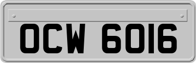OCW6016