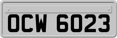 OCW6023
