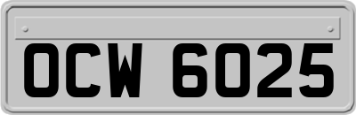 OCW6025