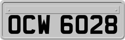 OCW6028