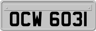 OCW6031