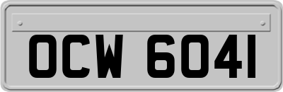 OCW6041