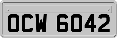 OCW6042