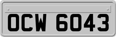 OCW6043