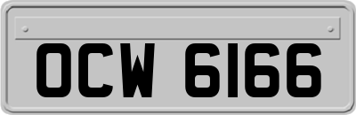 OCW6166