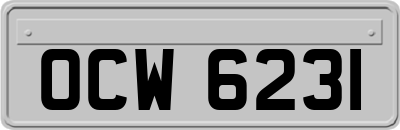 OCW6231