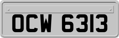 OCW6313