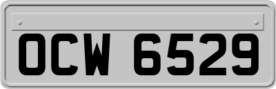 OCW6529