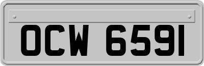 OCW6591