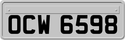 OCW6598