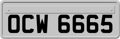 OCW6665