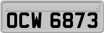 OCW6873