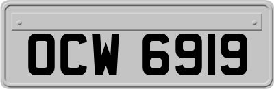 OCW6919