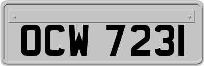 OCW7231