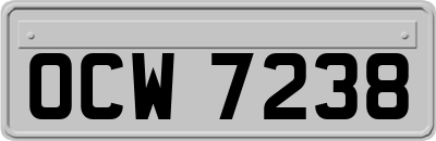 OCW7238