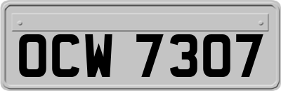 OCW7307