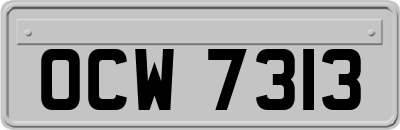 OCW7313