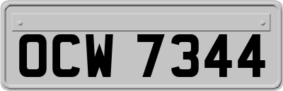 OCW7344