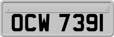 OCW7391