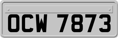 OCW7873