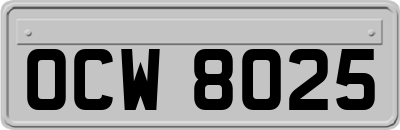 OCW8025