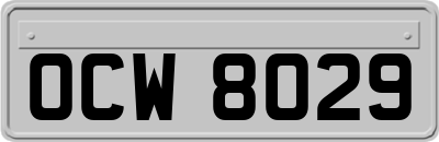 OCW8029