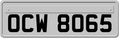 OCW8065