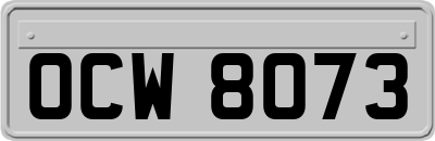 OCW8073