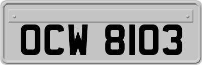 OCW8103