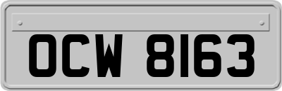 OCW8163