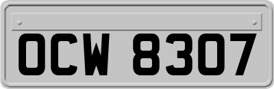OCW8307