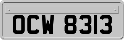 OCW8313