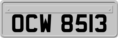 OCW8513