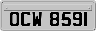 OCW8591