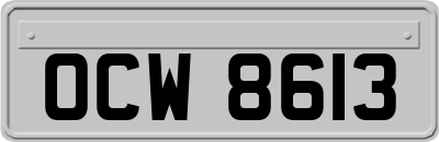 OCW8613