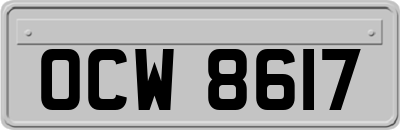OCW8617