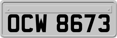 OCW8673