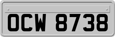 OCW8738